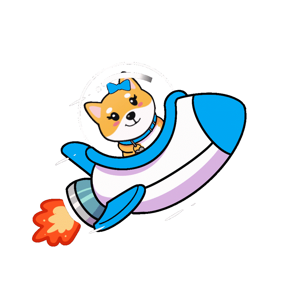 Flying Rocket Momo